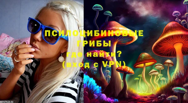 твердый Арсеньев