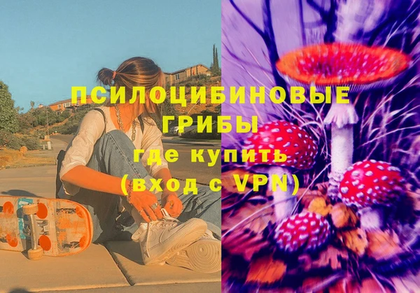 твердый Арсеньев