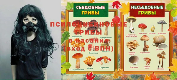 твердый Арсеньев