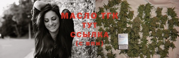 твердый Арсеньев