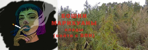твердый Арсеньев