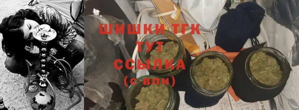 твердый Арсеньев